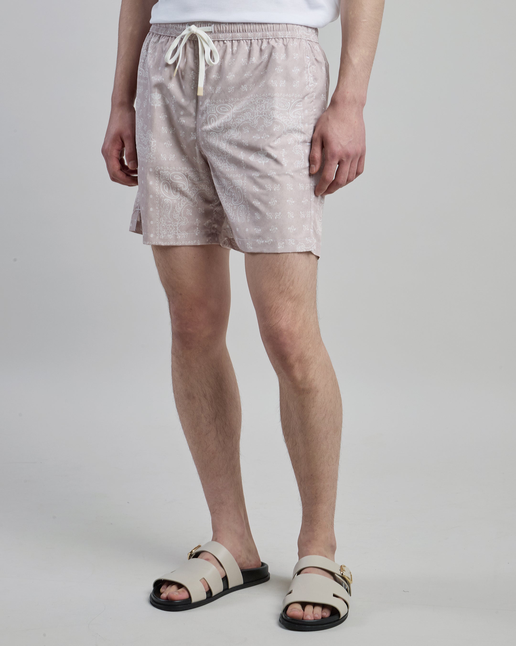 Men's Paisley Print Technical Fabric Swim Shorts